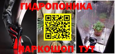 прущие грибы Новодвинск