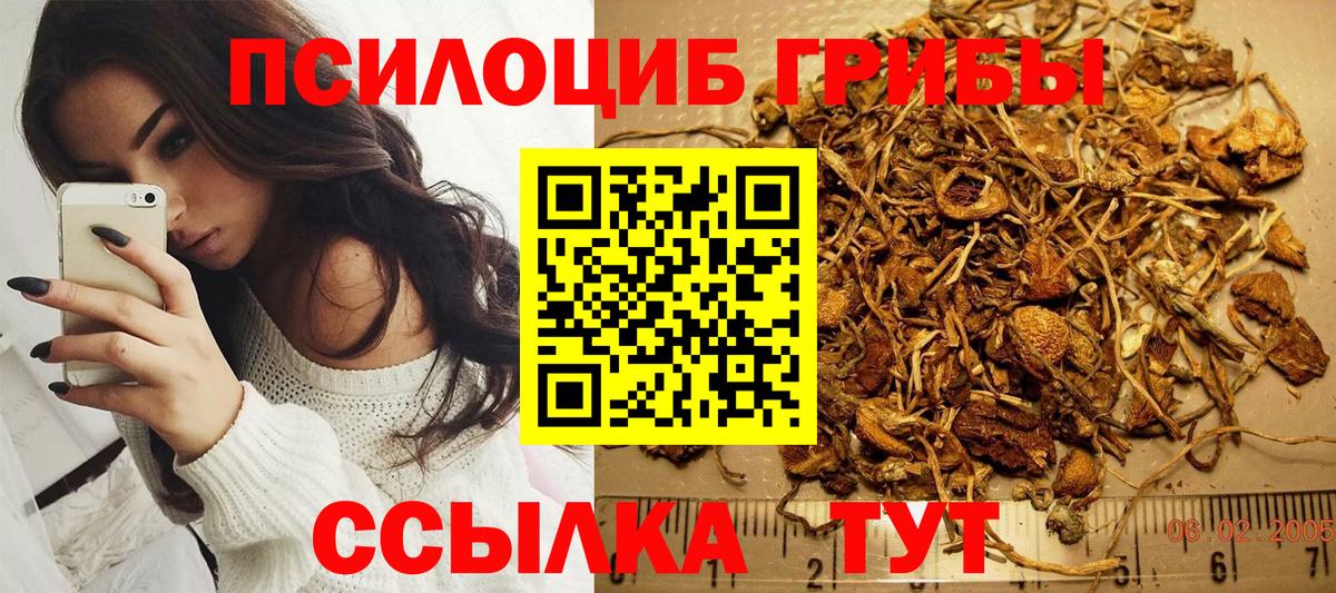 Псилоцибиновые грибы прущие грибы  Вход с VPN  Среднеуральск 